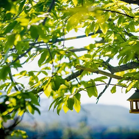 Εξοχικό σπίτι L'incanto Dei Sibillini Cessapalombo