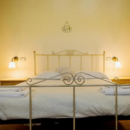 L'incanto Dei Sibillini *