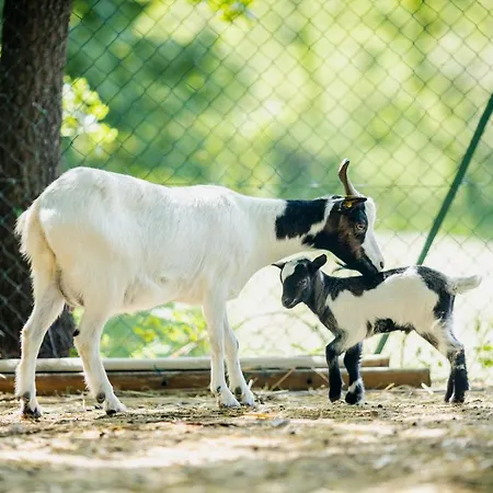 Casa di campagna L'incanto Dei Sibillini Cessapalombo