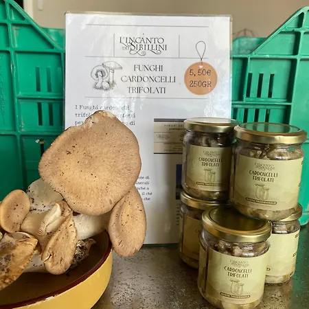 L'incanto Dei Sibillini * Cessapalombo