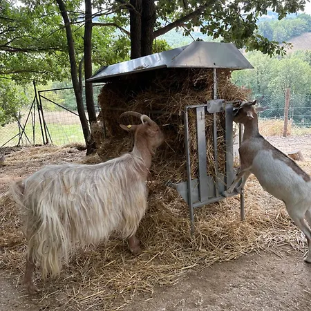 Casa di campagna L'incanto Dei Sibillini